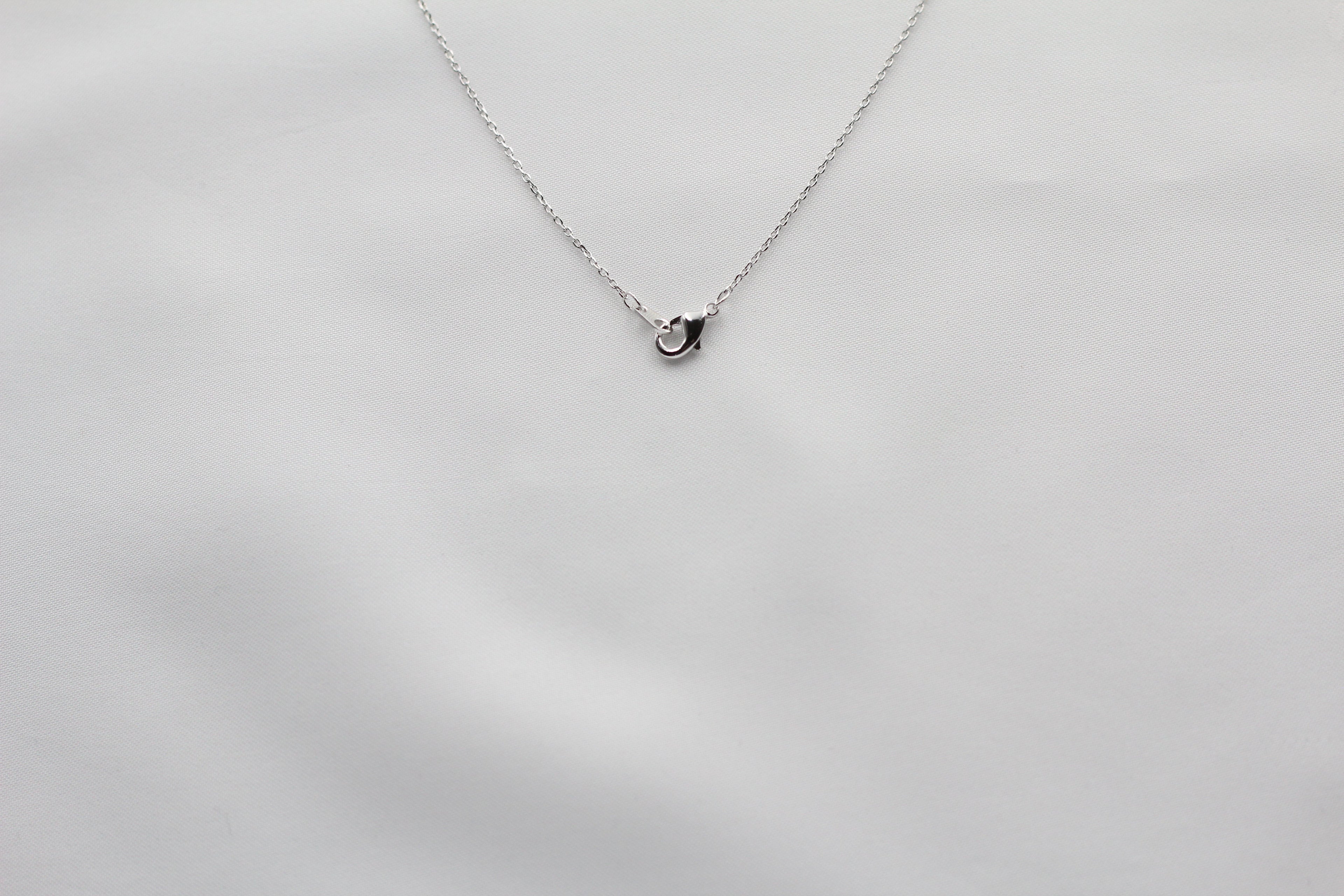 Texas State Map Necklace - Matte Polish