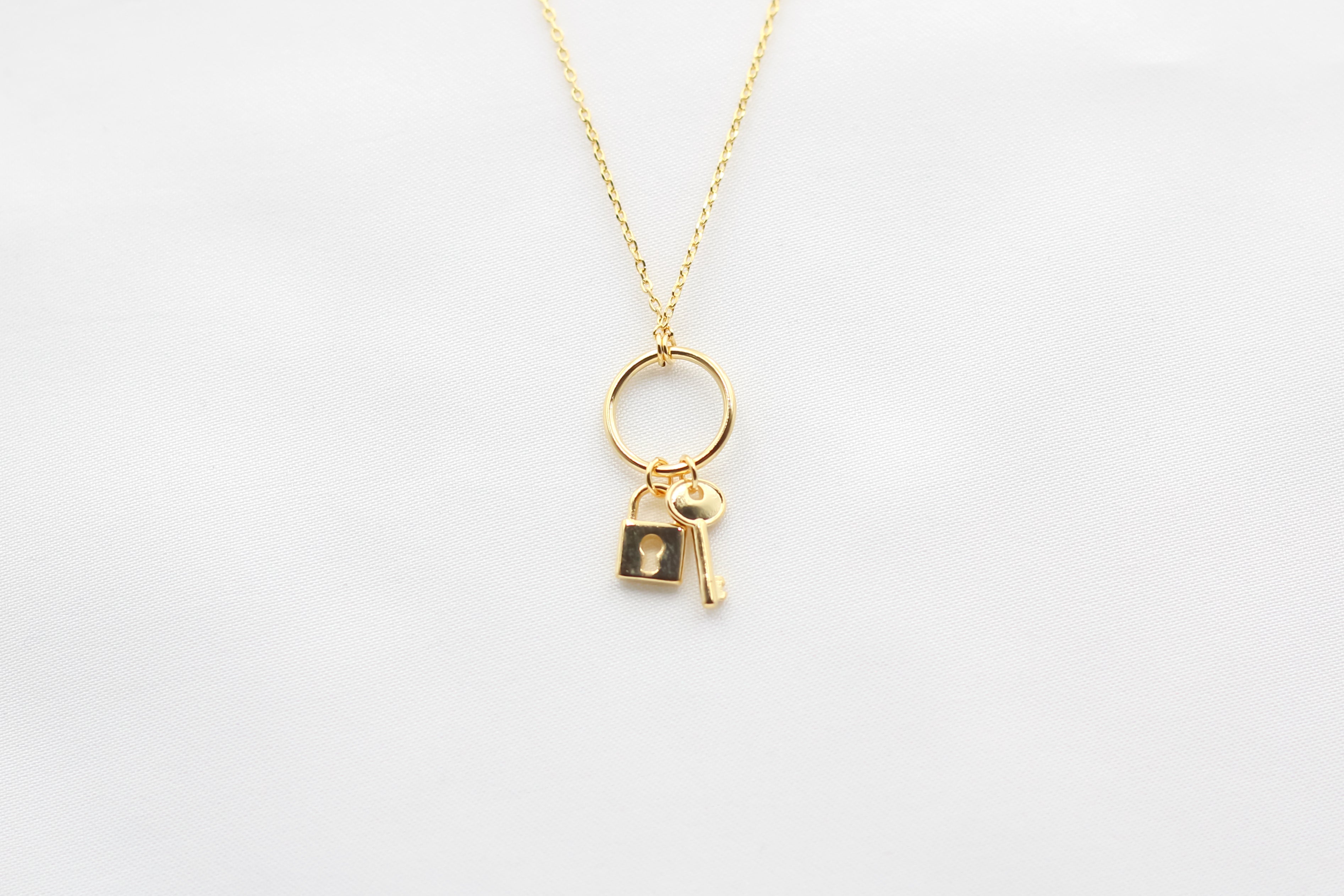 Shiny Lock and Key Ring Necklace